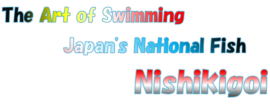 The Art of Swimming Japan's NationalFish Nishikigoi