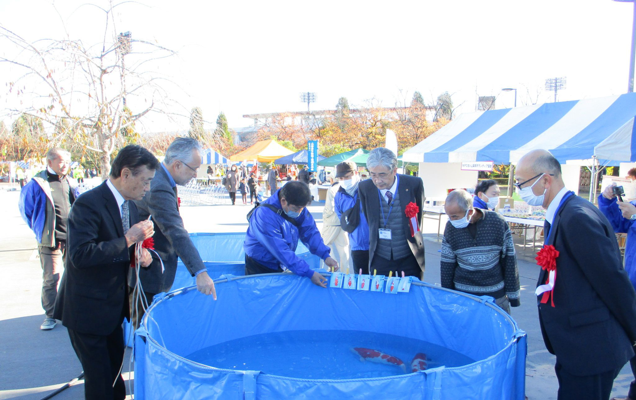 Judging at the Yamanashi Nishikigoi Show